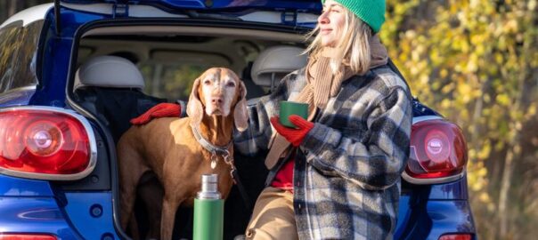Mit dem Magyar Vizsla auf Reisen